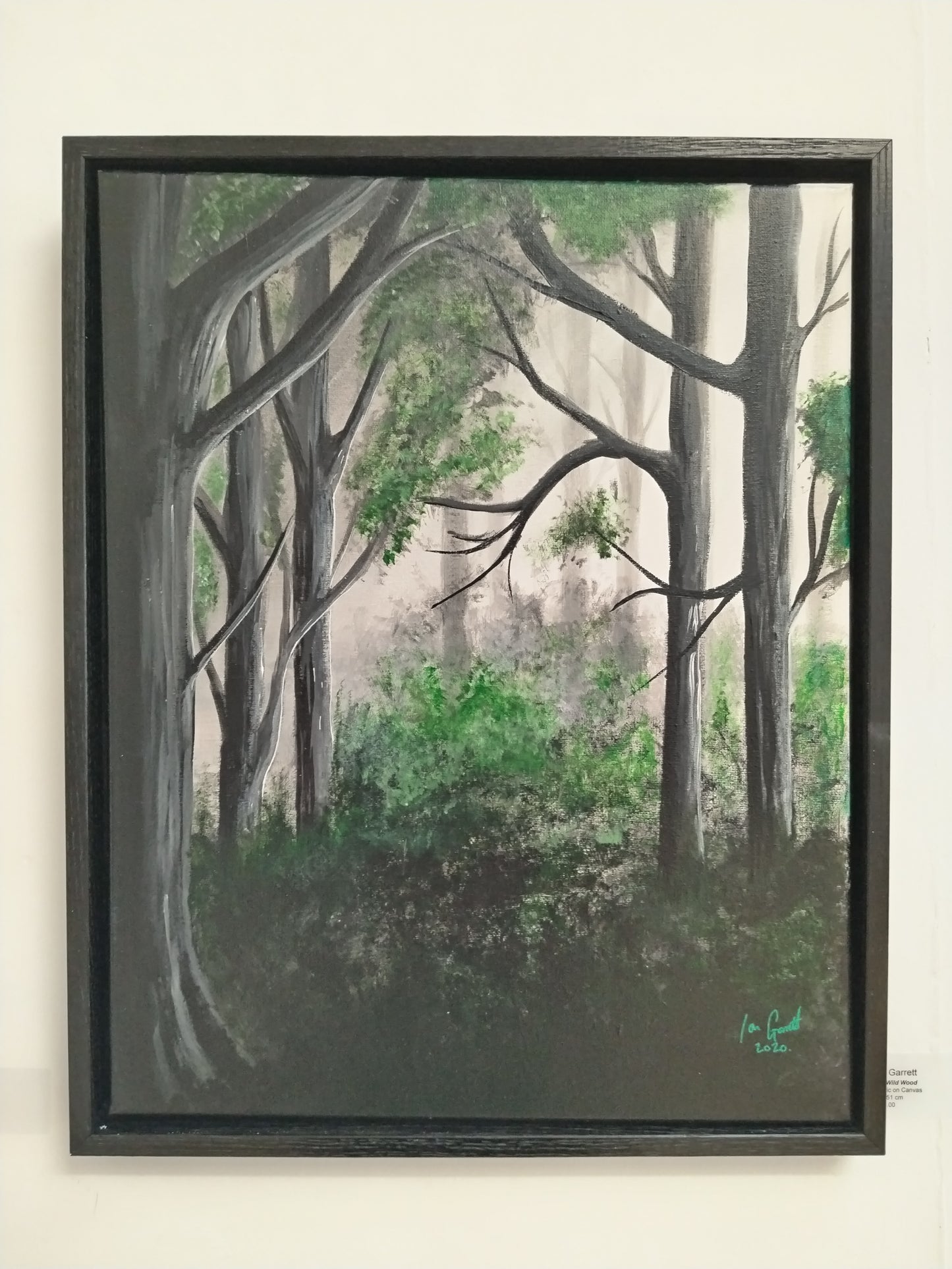 Call of the Wild, ©Ian Garrett 2020. Acrylic on Canvas 20 x 16 inches (Framed).