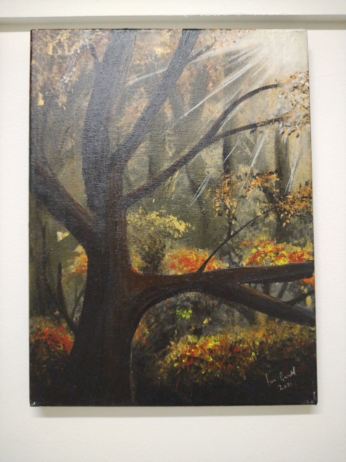 Autumn Forest painting by Ian Garrett showcasing a serene tree landscape in vibrant fall colors.